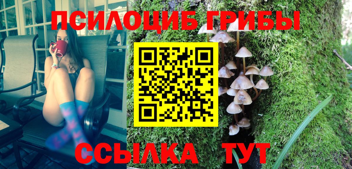 Псилоцибиновые грибы мухоморы  купить  цена  Реутов  Вход с VPN 
